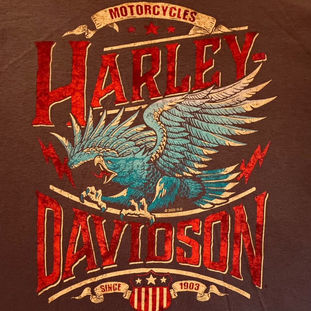 Harley-Davidson Long Sleeve T-Shirt With Eagle Graphic